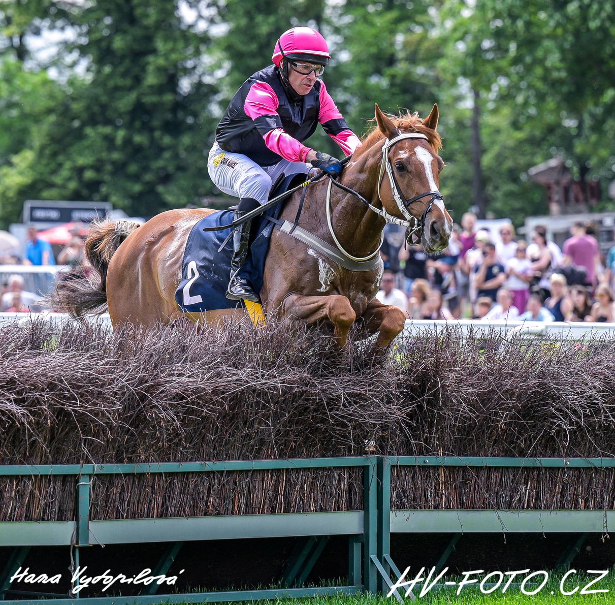DSC_1509 kopie.jpg